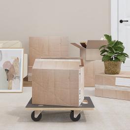 Transport trolleys 2 pcs rectangular 19.7"x13.8"x4.5" 551.2 lb