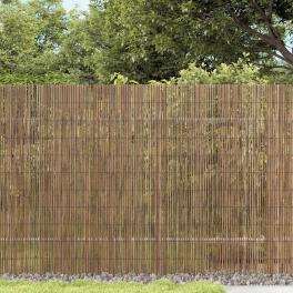 Garden fence 157.5"x39.4" reed