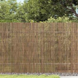 Garden fence 118.1"x39.4" reed