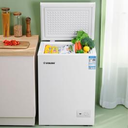 Small freezer for household dual-use refrigeration