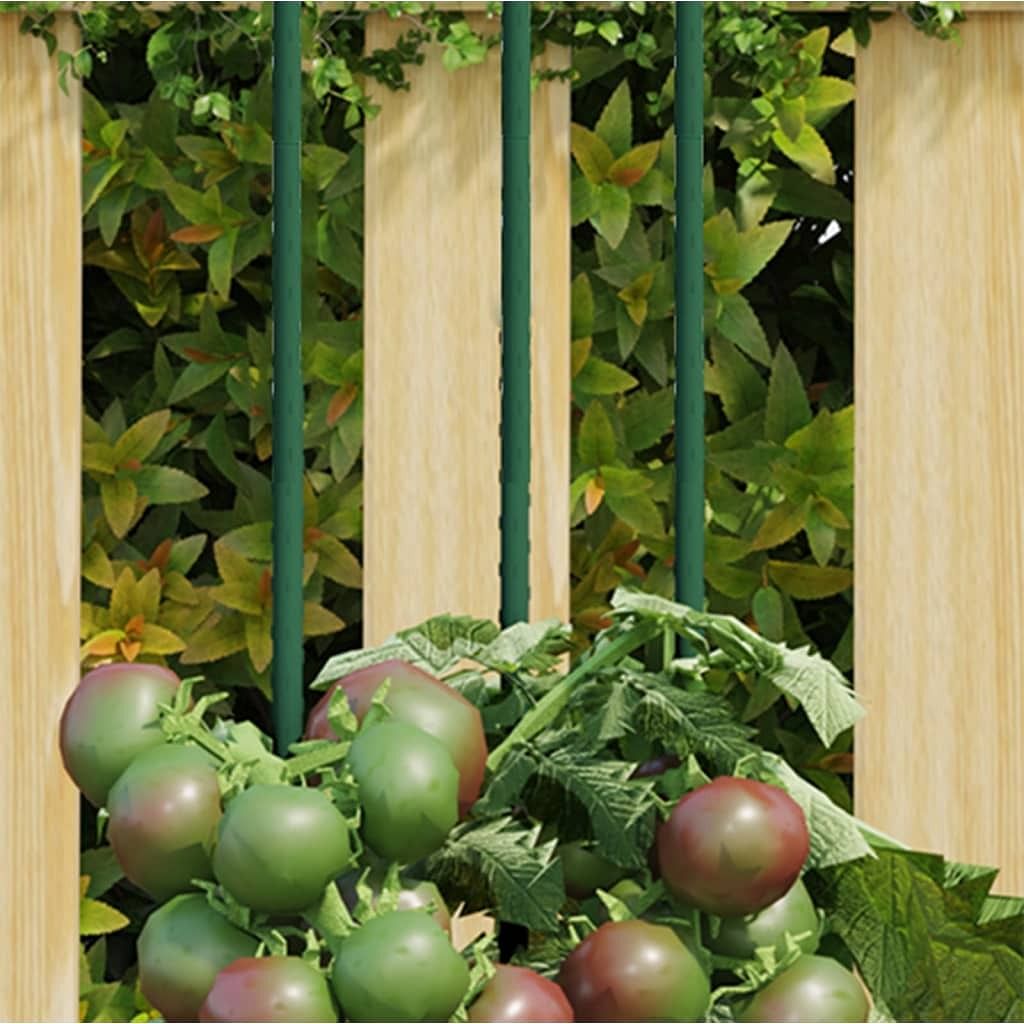 Plant stake set of 30 green steel with polypropylene coating