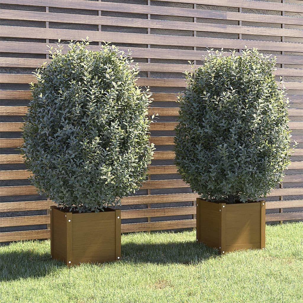 Planter set of 2 honey brown solid pinewood standard planters