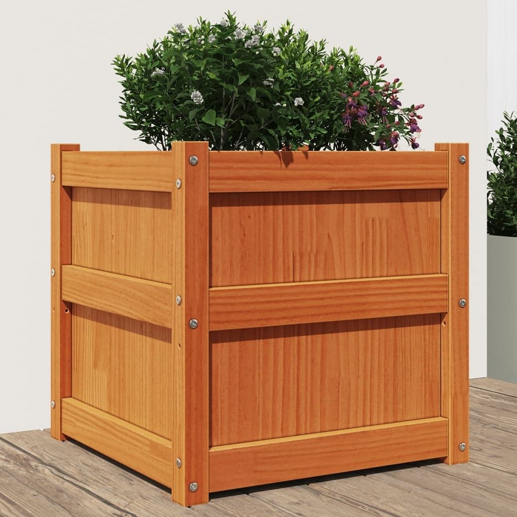 Garden planter wax brown solid pine wood 19.7x19.7x19.7 in