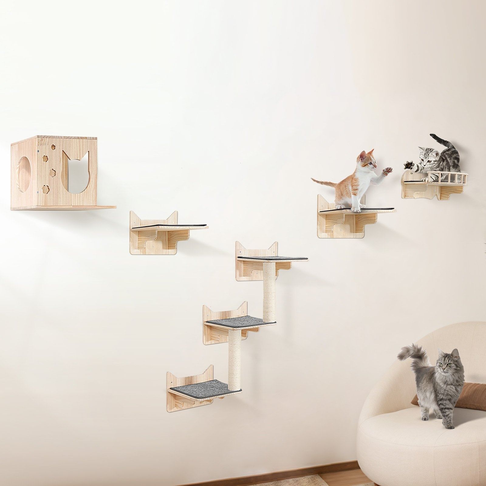Wall mounted cat shelves, cat wall shelves and perches with jumping boards, nest, barrier board & cat tree, cat floating furniture up to 40 lbs for sleeping, playing, climbing, set of 5