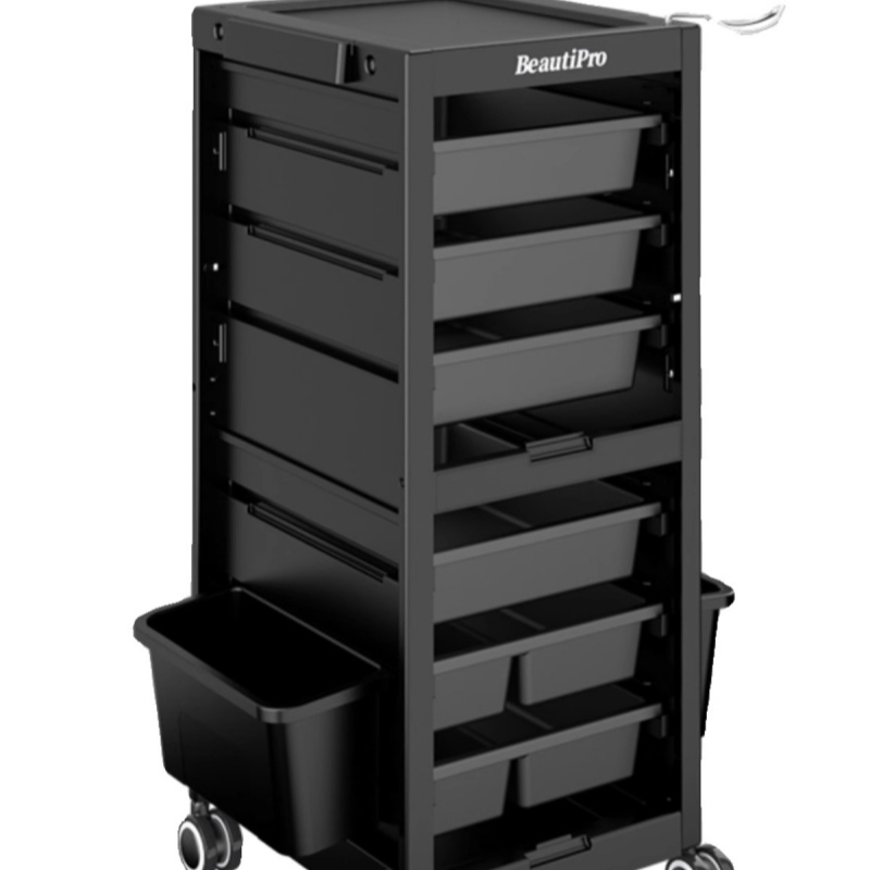 Water replenishing instrument beauty instrument sprayer hot spray cart