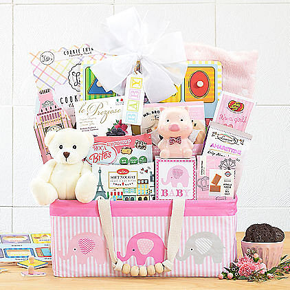 Bundle of joy: baby girl gift basket